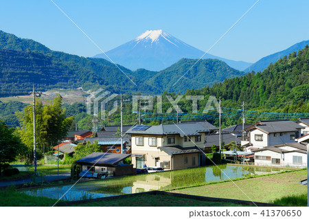 Rice paddies and Mt. Fuji of Oshki-cho Masaki 41370650