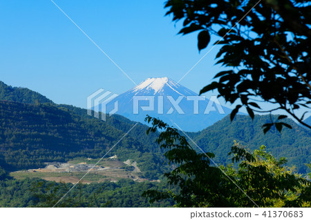 伊勢山山清晨可以看到富士山 41370683