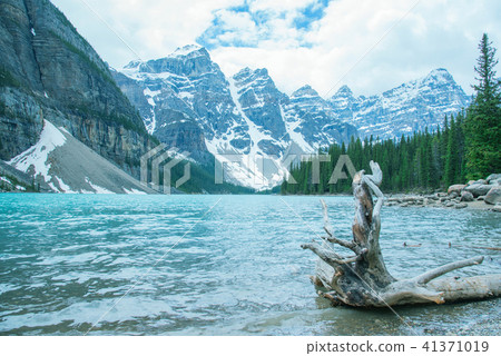 Banff National Park Moraine Lake and Ten Peaks 41371019