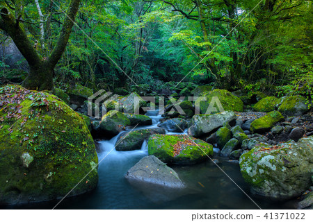 Aso Menzen Valley 41371022