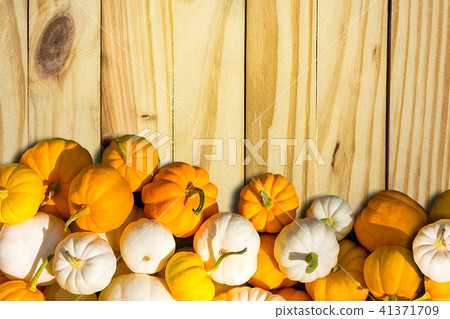 Orange Pumpkins And White Pumpkins On Vintage Wood 41371709