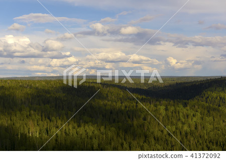 taiga from a bird's-eye view 41372092