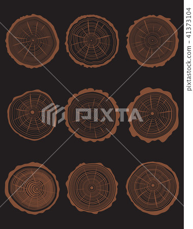 cross section of different trunks cross section of different trunks 41373104