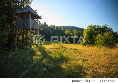 Lookout tower Lookout tower 41373782