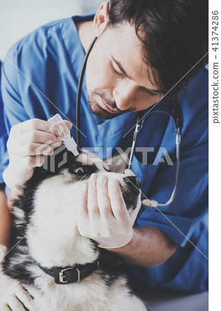 Young white bearded vet in blue robe drip drop 41374286