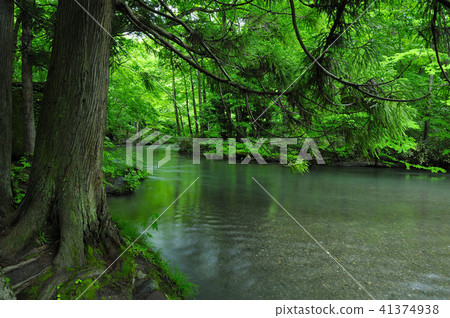 Oirase stream Oirase stream 41374938