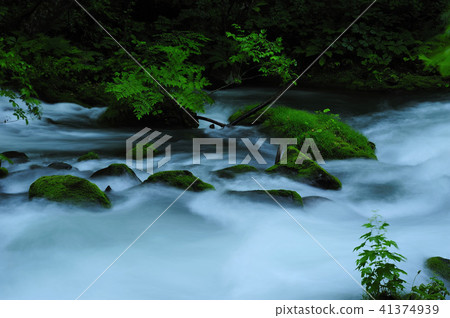 Oirase stream Oirase stream 41374939