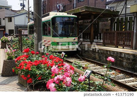 May May Minami Senju 03 Tenen and Rose · Minohowa-bashi Station Tsutomu Arakawa Line 41375190