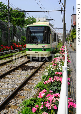 May Minami-senju 04 Tsuboi and Rose · Minohowa-bashi station Tsutomu Arakawa line May Minami-senju 04 Tsuboi and Rose · Minohowa-bashi station Tsutomu Arakawa line 41375191