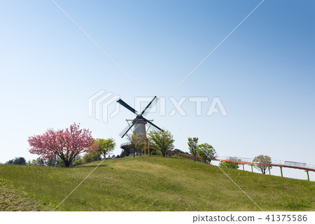 Miyagi Naganuma Footpier Park荷蘭風車和櫻花 Miyagi Naganuma Footpier Park荷蘭風車和櫻花 41375586