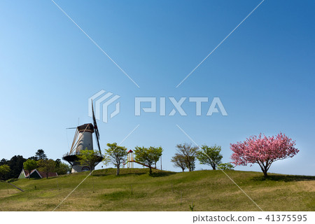 Miyagi Naganuma Footpier Park Dutch Windmill and Sakura Miyagi Naganuma Footpier Park Dutch Windmill and Sakura 41375595