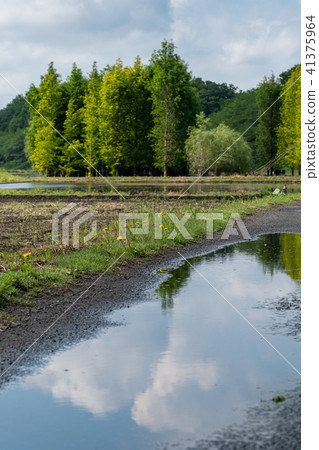 Reflection of farm road 41375964