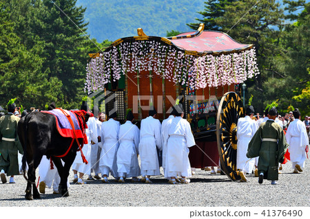 Aoi Festival 2018 41376490