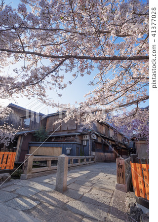 Gion Spring Tatsumi Bridge Stock Photo