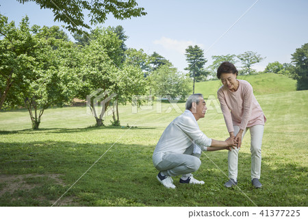 senior senior 41377225