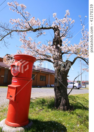 Cherry blossoms and posts Cherry blossoms and posts 41378139