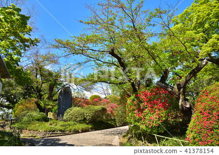 栃木佐野市城山公園 栃木佐野市城山公園 41378154