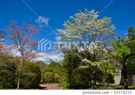 栃木佐野市城山公園 41378155