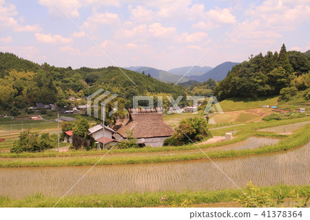 鄉村景觀 鄉村景觀 41378364