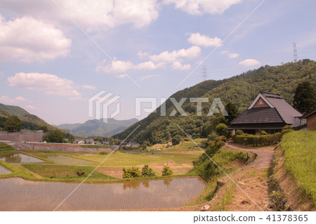 Rural landscape Rural landscape 41378365