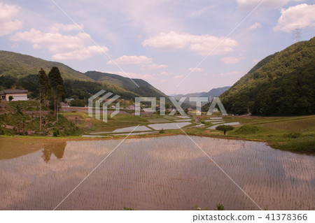 Rural landscape Rural landscape 41378366