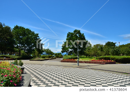 滋賀長濱市的Yutaka公園 41378604