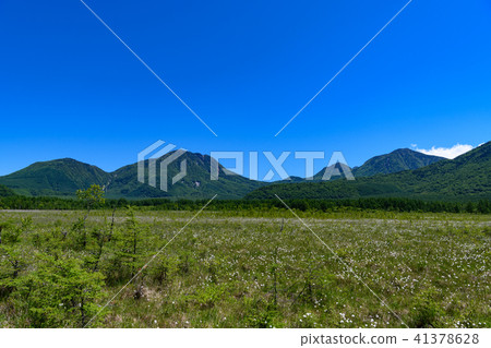 Omoto Masukoyama，Mamonomikoyama，Tarou山，Senjogahara和Sankagatsuhara的Watasse測量儀 41378628