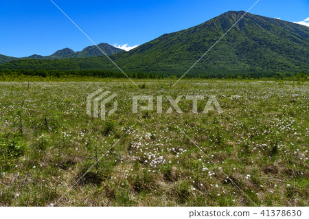 Mt. Mt. Nagayama, Momonokoyama, Watasuge of Senjogahara and Senjogahara Mt. Mt. Nagayama, Momonokoyama, Watasuge of Senjogahara and Senjogahara 41378630