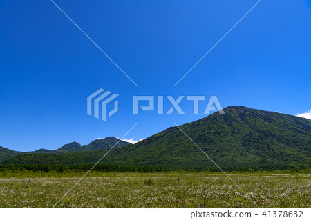 Mt. Mt. Nagayama, Momonokoyama, Watasuge of Senjogahara and Senjogahara 41378632