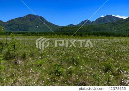 Daimyozukayama, Mamonokozama, Tarou and Senjogahara watasuge 41378633