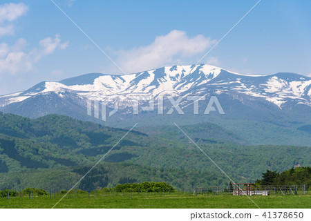 Kurikomiyama of the remaining snow and ranch of the plateau 41378650