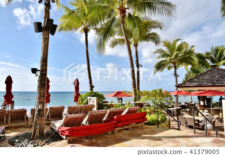 夏威夷的假期 41379005