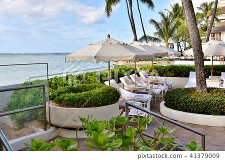 夏威夷的假期 41379009