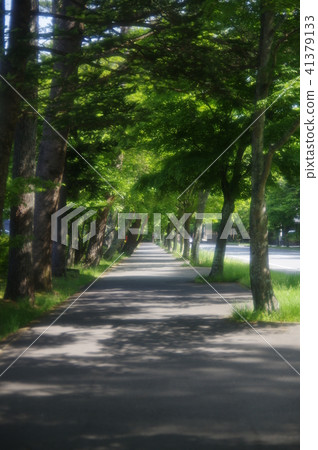 長廊 長廊 41379133