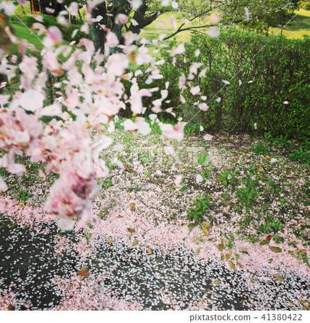 紋身星期一 41380422