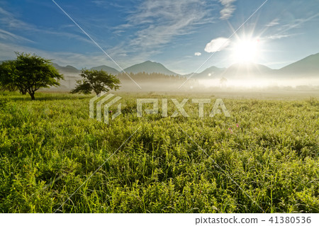 Okuhiko / Odashihara在早晨的陽光下 41380536