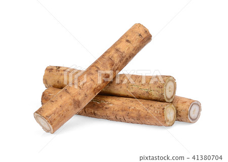 burdock roots or kobo isolated on white background burdock roots or kobo isolated on white background 41380704
