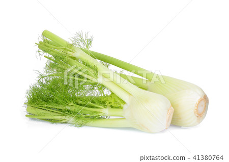 fresh fennel vegetable isolated on white  41380764