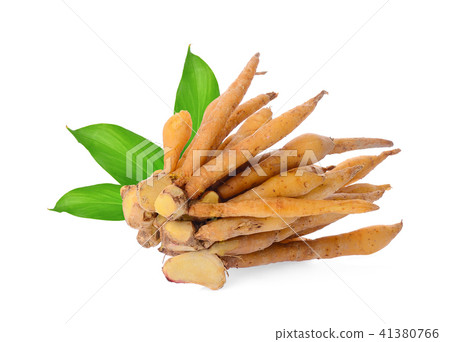 fingerroot with green leaves isolated on white  41380766