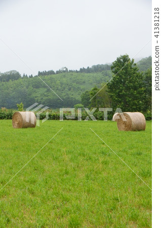 Ranch · Dried Roll (Monbetsu City, Hokkaido) 41381218