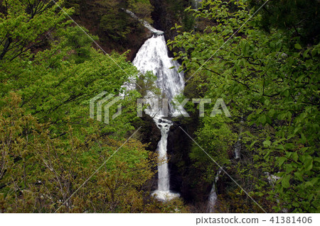 Nanatsu Falls of Rice Field (Tsuruoka City) Nanatsu Falls of Rice Field (Tsuruoka City) 41381406