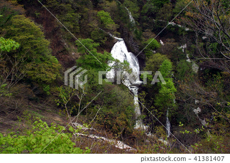 Nanatsu Falls of Rice Field (Tsuruoka City) 41381407