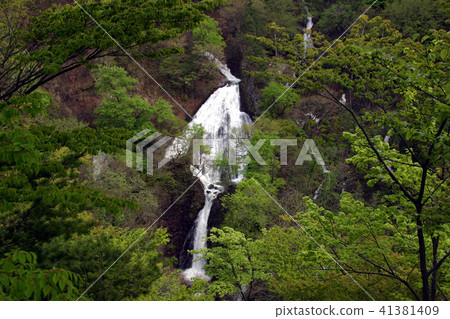 Nanatsu Falls of Rice Field (Tsuruoka City) 41381409