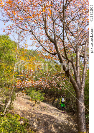針對登山者的登山者! (兵庫縣姬路市廣hat區杏美町)*作品註釋欄中的拍攝位置 針對登山者的登山者! (兵庫縣姬路市廣hat區杏美町)*作品註釋欄中的拍攝位置 41381805