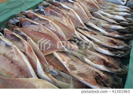 開放馬鯖魚 開放馬鯖魚 41381963