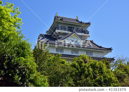 Gifu CITY Gifu City Gifu Castle 41381979