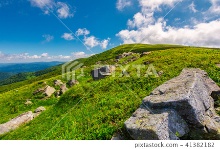 lovely summer landscape 41382182