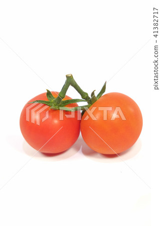 Tomato Tomato 41382717