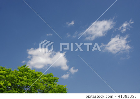 Blue sky and green (background material) Blue sky and green (background material) 41383353