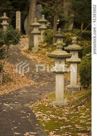 Entrance image at sunset 41383602